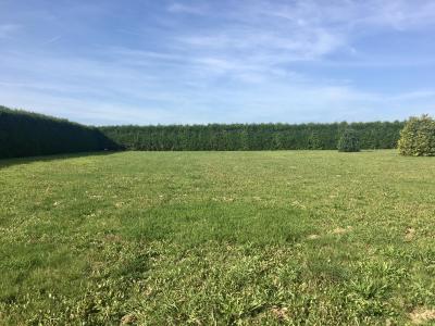Vente Terrain HANGEST-EN-SANTERRE 80134