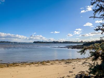 photo For sale House CRACH 56