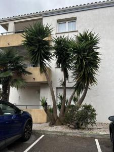 Vente Appartement AGDE 