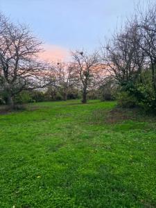 Vente Maison 6 pièces GLENOUZE 86200