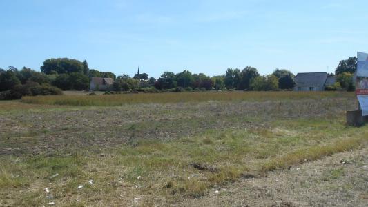 Vente Terrain MARCILLY-SUR-VIENNE 37800