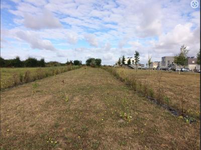 Vente Terrain CHICHEBOVILLE 14370
