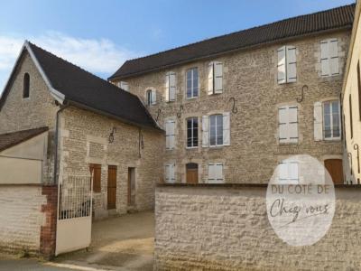 Vente Appartement 14 pièces MUSSY-SUR-SEINE 10250