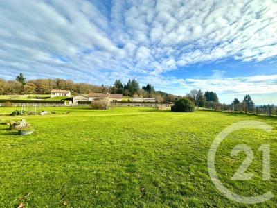 For sale House SAINT-LEGER-LA-MONTAGNE 