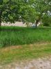 Annonce Vente Terrain Villenauxe-la-grande
