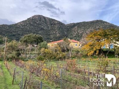 Vente Commerce LAVANDOU 83980