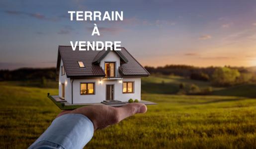 Vente Terrain SOGNOLLES-EN-MONTOIS  77