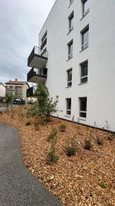 Location Appartement 2 pièces CLERMONT-FERRAND 63100