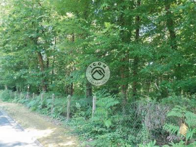 photo For sale Land COULOUNIEIX-CHAMIERS 24