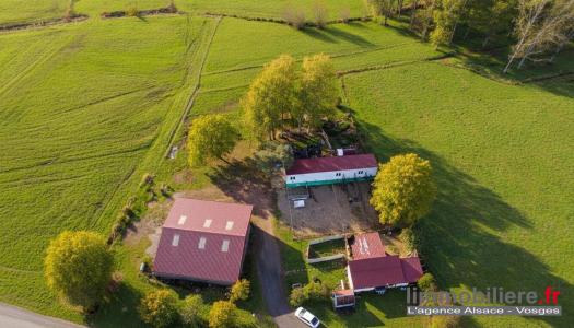 Vente Maison 3 pièces WISEMBACH 88520