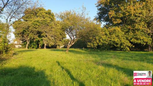 Vente Terrain DENNEY 90160