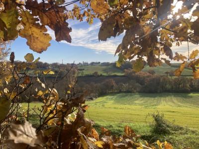 Vente Terrain ISLE-JOURDAIN  32