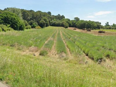 Vente Terrain BOLLENE 84500