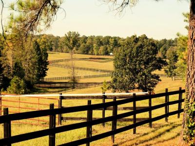 photo For sale Prestigious house SAINT-POURCAIN-SUR-SIOULE 03