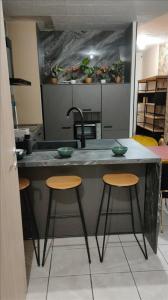 photo For rent Apartment BELLEGARDE-SUR-VALSERINE 01