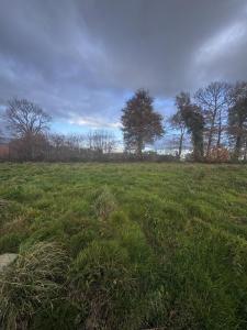 Vente Terrain PARTHENAY-DE-BRETAGNE 35850