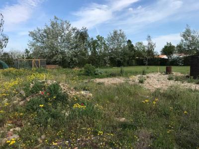 For sale Land BREUIL-MAGNE  17