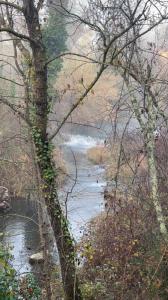 For sale House VERDIERE