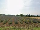 For sale Land Malataverne 26780 490 m2