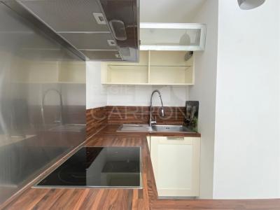 For rent Apartment LYON-7EME-ARRONDISSEMENT 