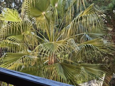 Vente Appartement 2 pièces LINGUIZZETTA 20230