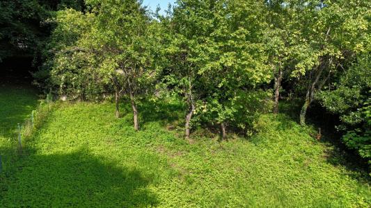 Vente Maison THOUROTTE