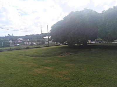 Vente Terrain LAMENTIN 97232