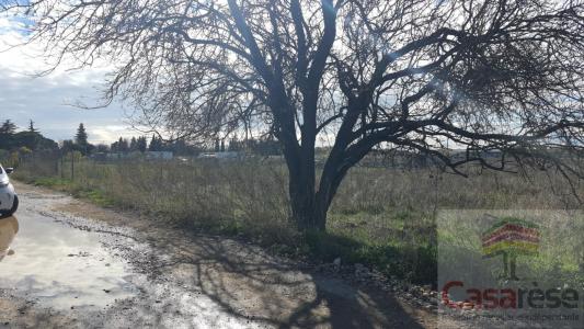 Vente Terrain MANDUEL 30129