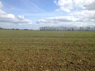 Vente Terrain FONTAINE-ETOUPEFOUR 14790