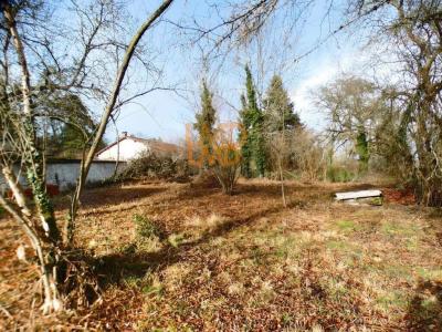 Vente Terrain MARSAC-EN-LIVRADOIS 63940