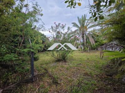 Vente Terrain MONTAGNE 97417