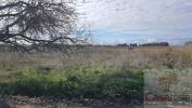 Annonce Vente Terrain Manduel