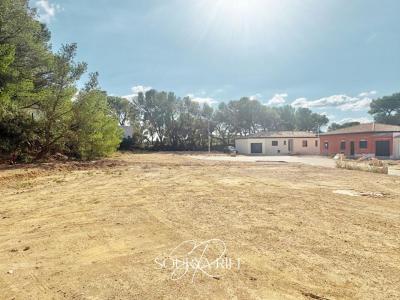 For sale Land LEZIGNAN-CORBIERES  11