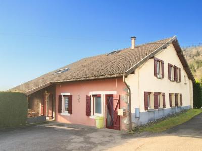 Vente Maison RAMONCHAMP  88