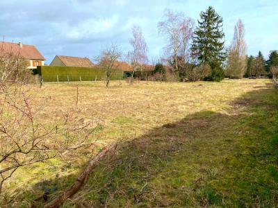 Vente Maison GERGY 71590