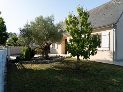 Vente Maison 3 pièces NOTRE-DAME-D'OE 37390