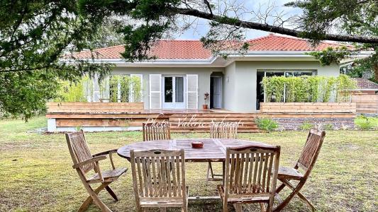 Vente Maison 5 pièces MESSANGES 40660