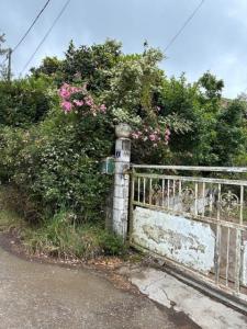 Vente Maison 5 pièces PLAINE-DES-CAFRES 97418