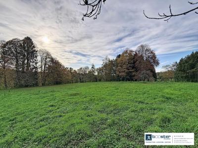 Vente Maison SAINT-YRIEIX-LA-PERCHE 