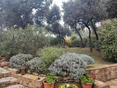 Vente Maison BAGNOLS-SUR-CEZE 