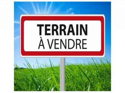 Vente Terrain REUIL 51480