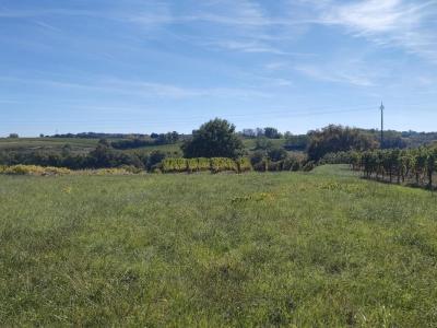 Vente Terrain CAPIAN 33550