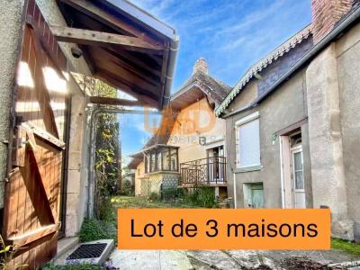 Vente Maison BLANC 36300