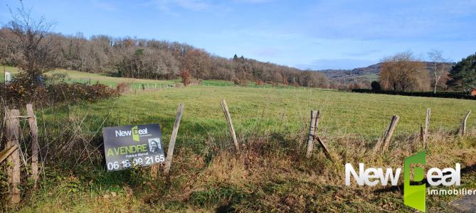 Vente Terrain SAINT-VIANCE 19240
