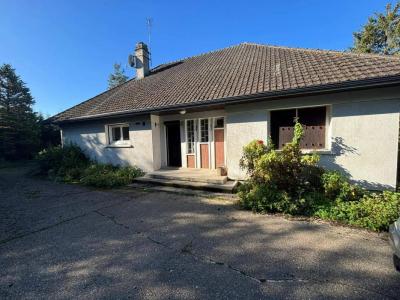 Vente Maison 6 pi�ces CHARNY 89120