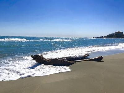 Vente Appartement 3 pi�ces LINGUIZZETTA 20230