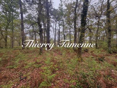 Vente Terrain BARBASTE 47230