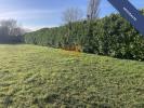Vente Terrain Thors 17160 1193 m2