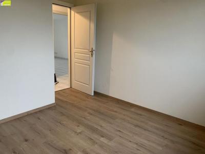 Location Appartement EGUISHEIM 