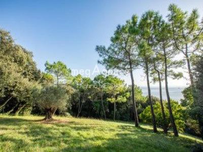 Vente Prestige SAINT-GEORGES-DE-DIDONNE 17110